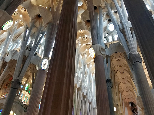 Curves and columns in Sagrada Familia